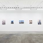 Installation view of Scott Listfield's exhibition "Extinction Stories" at Harman Projects, San Francisco. From left to right: "Cybertruck on Fire," "Blue Bird," "Golden Gate," "Amazon," and "Duck and Cover."