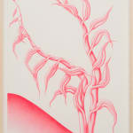 Devra Fox - Pink graphite drawing of a plant growing on hill leaning towards the left side of the paper.