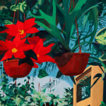 Painting of red poinsettia in a hanging pot. In the distance you can see several more hanging pots that are on the ground.