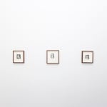 Install photo of Alison Friend's paintings hanging on a white wall