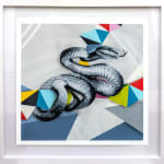 black and white snake over colorful geometric shapes