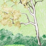 sketch of a white tree over a green background