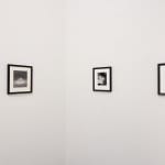 install photo of artwork in exhibition