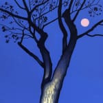 painting of a a tree in the night time