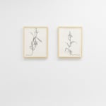 Install image of In Orbit. From left to right, "Nascent (Down)" and Nascent (Up)".