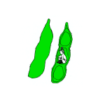 Painting of two green beans and a girl crouched in one of them