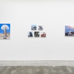 Installation view of Scott Listfield's exhibition "Extinction Stories" at Harman Projects, San Francisco. From left to right: "Transamerica," "Megalodon," "Polar Bear," "Mammoth 2," "Triceratops 2," "Brachiosaurus 2," and "When the Fire Ends."