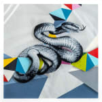 black and white snake over colorful geometric shapes