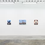 Installation view of Scott Listfield's solo exhibition "Extinction Stories," at Harman Projects, San Francisco. From left to right: "Cybertruck on Fire, "Blue Bird," "Golden Gate," and "Amazon"
