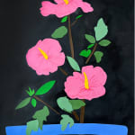 collage of three pink flowers on a black background