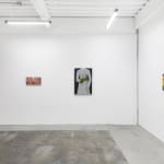 Installation view of Angela Burson's exhibition "Close Encounters" at Hashimoto Contemporary San Francisco depicting (from left to right): "Footward," "Blue Shoes, "Palmetto Martini," "Owless," and "The Palm Reader"