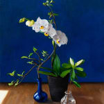 Painting of white orchids with dog faces in a small blue vase on a wooden table with a navy background