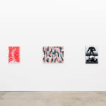 Installation view of Cleon Peterson's The Shadow at Hashimoto Contemporary LA