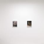 installation image of Late Night Show and Purple Haze at Hashimoto Contemporary San Francisco