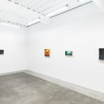 Installation view of Chris Austin's solo exhibition Contrasts at Harman Projects, San Francisco. From left to right: "Hide And Seek Until We Meet," "Seen Through Lost and Open Eyes," "Nowhere Road," and "Uninvited Frost."