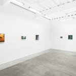 Installation view of Chris Austin's solo exhibition Contrasts at Harman Projects, San Francisco. From left to right: "Seen Through Lost and Open Eyes," "Nowhere Road," "Uninvited Frost," "Roadtrip," "Long Winters Night," and "Out Past Curfew."