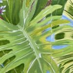Natalia Juncadella painting of tropical plants detail