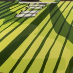Natalia Juncadella painting of white fence and grass with shadows cast over it