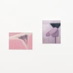 Corey K. Lamb - stylized, pink vulva and penis