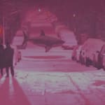 Chris Austin, Out Past Curfew, 2025