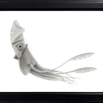 Drawing of a squid wearing a fancy jacket