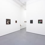 Install photo of Alison Friend's paintings hanging on a white wall