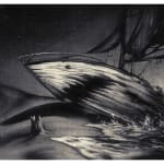 drawing of a shark breaching the water