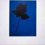 Jannis Kounellis, Untitled, 1959