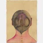 Sandra Vásquez de la Horra, Ancestral, 2025