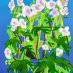 Grouping of purple flowers with green leaves set over a blue background