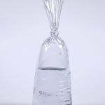 Dylan Martinez glass water bag sculpture with two air bubble fish