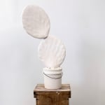 Brock DeBoer sculpture of white porcelain cactus clipping in white bucket with white gravel