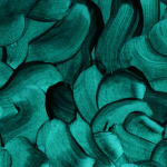 Ted Collier, Moonrise, 2019