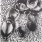 A gestural abstraction. The background of this picture is in black squiggles. In the foreground are a circle of see through ovals in gray charcoal.
