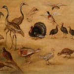 Jan Brueghel the Younger, (workshop of) Bird study/ (atelier de) Etude d'oiseaux, 1626