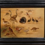 Jan Brueghel the Younger, (workshop of) Bird study/ (atelier de) Etude d'oiseaux, 1626