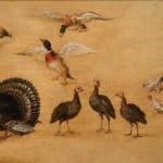 Jan Brueghel the Younger, (workshop of) Bird study/ (atelier de) Etude d'oiseaux, 1626
