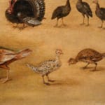 Jan Brueghel the Younger, (workshop of) Bird study/ (atelier de) Etude d'oiseaux, 1626
