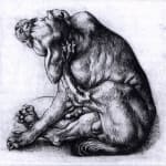 Georg Schweigger (1613 - 1690) (attributed to), Dog scratching its ear