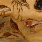 Jan Brueghel the Younger, (workshop of) Bird study/ (atelier de) Etude d'oiseaux, 1626