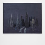 Simona Runcan, Conviețuiri silențioase / Silent Cohabitations, 1999