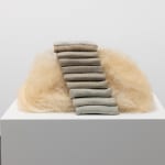 Simona Runcan, Conviețuiri silențioase / Silent Cohabitations, 1999