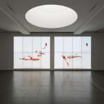 Ian Cheng, Thousand Islands Thousand Laws, 2013