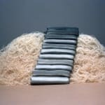 Simona Runcan, Conviețuiri silențioase / Silent Cohabitations, 1999