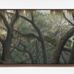 Chad Murray, Trees with Spanish Moss, 2022