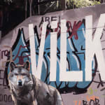 Thumbnail of additional image