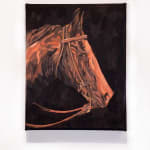 Keya Tama, The Awaited