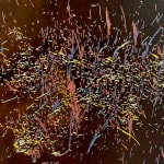 Paul Stephenson, Still Life of the Universe