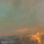 David Bray, Burnished, 2022