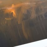 David Bray, Burnished, 2022